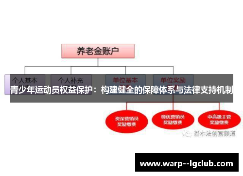 青少年运动员权益保护：构建健全的保障体系与法律支持机制