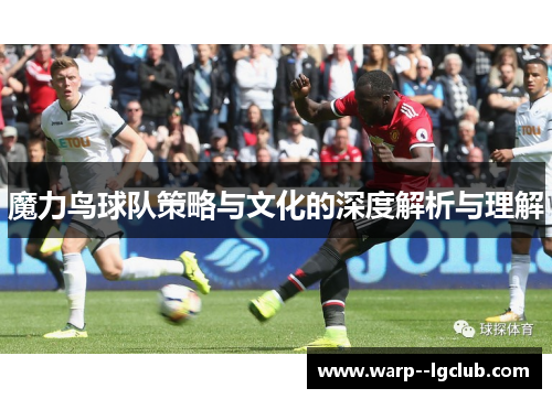 魔力鸟球队策略与文化的深度解析与理解